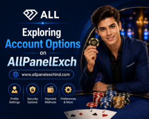 Exploring Account Options on AllPanelExch